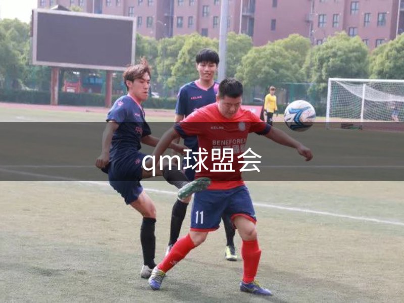 球盟会·QMH(中国)-官方网站